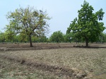 17435100_2123.JPG