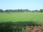 33571RIMG0236.JPG