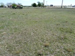 29233WATO20110412E.JPG
