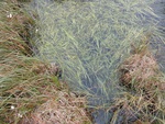 24932DSC00039.JPG