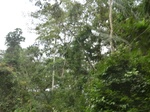48714CIMG5051.JPG