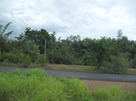33547IMG_5816.JPG