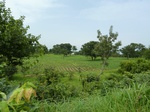 18767P1000605.JPG