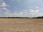 35588DSC02088.JPG