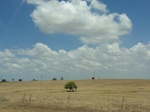 35479DSC02994.JPG