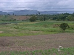 33616RIMG0281.JPG