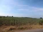 56124CIMG6825.JPG