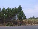 28076RIMG0131.JPG