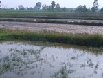 34619RIMG0086.JPG