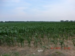 29507CIMG0826.JPG