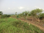 50419CIMG1048.JPG