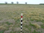 29231LAHO20110411S.JPG