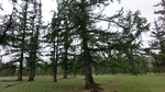 34051CIMG2239.JPG