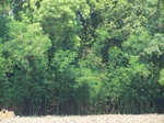 1777924042008(38).JPG