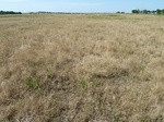 54076SHAW20120605GPS.JPG