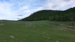 33795CIMG2473.JPG