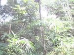 13813IMG_4076.JPG