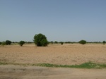 19142P1000987.JPG