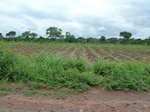 20993P1020863.JPG