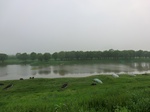 52107CIMG0082.JPG