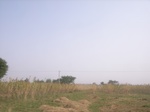 9098RIMG0178.JPG