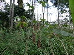 51205CIMG0715.JPG