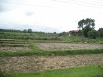 33289IMG_5619.JPG