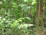 47236CIMG3573.JPG