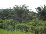 33647IMG_5836.JPG