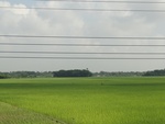 24595DSC00813.JPG