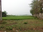 31701CIMG1569.JPG