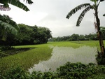 22077DSC00312.JPG