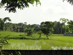 24576DSC00786.JPG