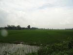 21692DSC00229.JPG
