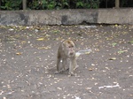 15799IMG_4889.JPG