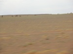 36596CIMG0365.JPG