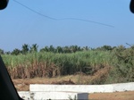 56248CIMG6987.JPG