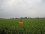 15711IMG_4794.JPG