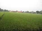 14433IMG_4784.JPG