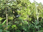 16233IMG_5004.JPG