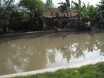14383IMG_4725.JPG