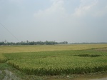 21848DSC08435.JPG