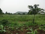 45349CIMG2434.JPG