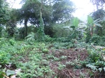 45251CIMG2336.JPG