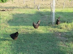 32042IMG_5673.JPG