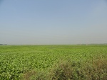 26094DSC01121.JPG