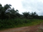20082P1010933.JPG