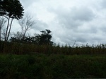 20054P1010905.JPG