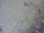 26167RIMG0219.JPG