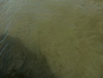 58081CIMG2375.JPG